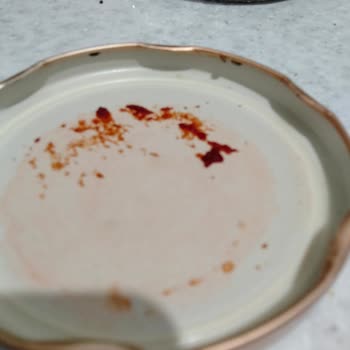 Salçada Böcek Şoku Ve İlgisiz Müşteri Hizmeti