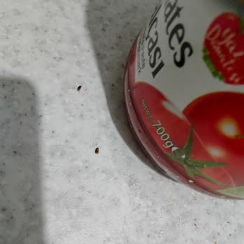 Salçada Böcek Şoku Ve İlgisiz Müşteri Hizmeti