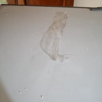 Bosch Buzdolabında Hasarlı Ürün Sorunu