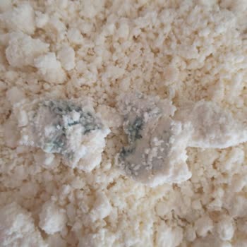 Taze Olmayan Ürün Ve İlgisiz Müşteri Hizmetleri