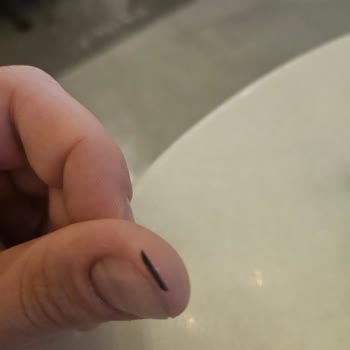 Samsung Galaxy Z Flip 5 Ekran Sorunu