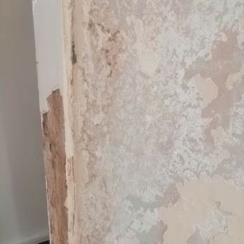 Deprem Testi İçin Bekleyen Ev Sahibi
