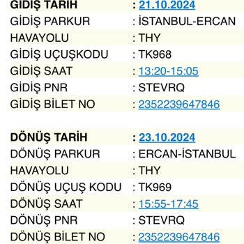 THY İle Koltuk Rezervasyonunda Yaşanan Sorunlar