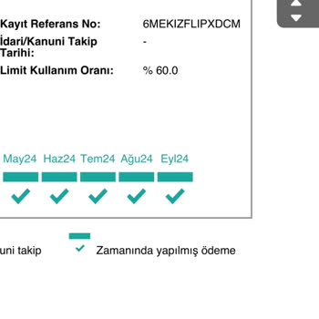 Kredi Puanı Çıkmazı: Banka Ve Findeks Arasında Kalan Müşteri