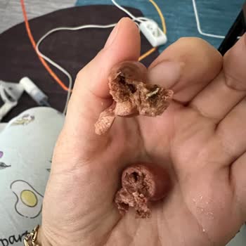 Kurtlu Zeytin Skandalı: Yüksek Fiyat, Düşük Kalite