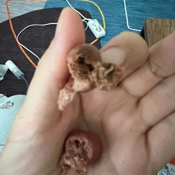 Kurtlu Zeytin Skandalı: Yüksek Fiyat, Düşük Kalite