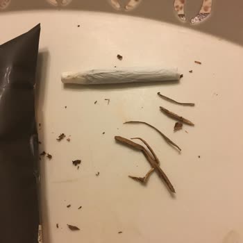 Marlboro Roll Tütününde Odun Sorunu