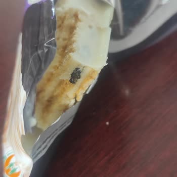 Tarım Kredi Kooperatif Market Gofret İçinden Çıkan Şaşırtıcı Madde