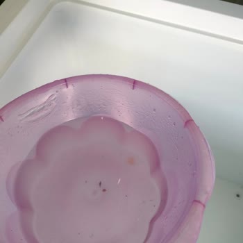 Joker Tip Derin Dondurucu Hayal Kırıklığı