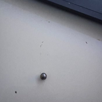 Marketten Alınan Çikolatada Üretim Hatası