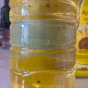 Komili Ayçiçek Yağında Siyah Yabancı Maddeler Şoku