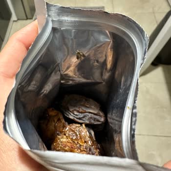 Güvenilir Markadan Beklenmedik Kurt Sorunu