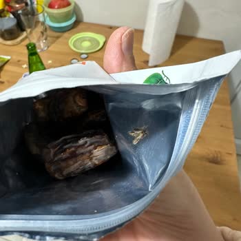 Güvenilir Markadan Beklenmedik Kurt Sorunu