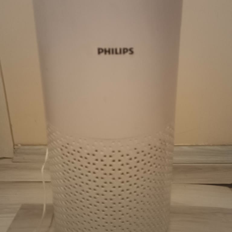 Philips Hava Temizleyici İçin Filtre Sorunu