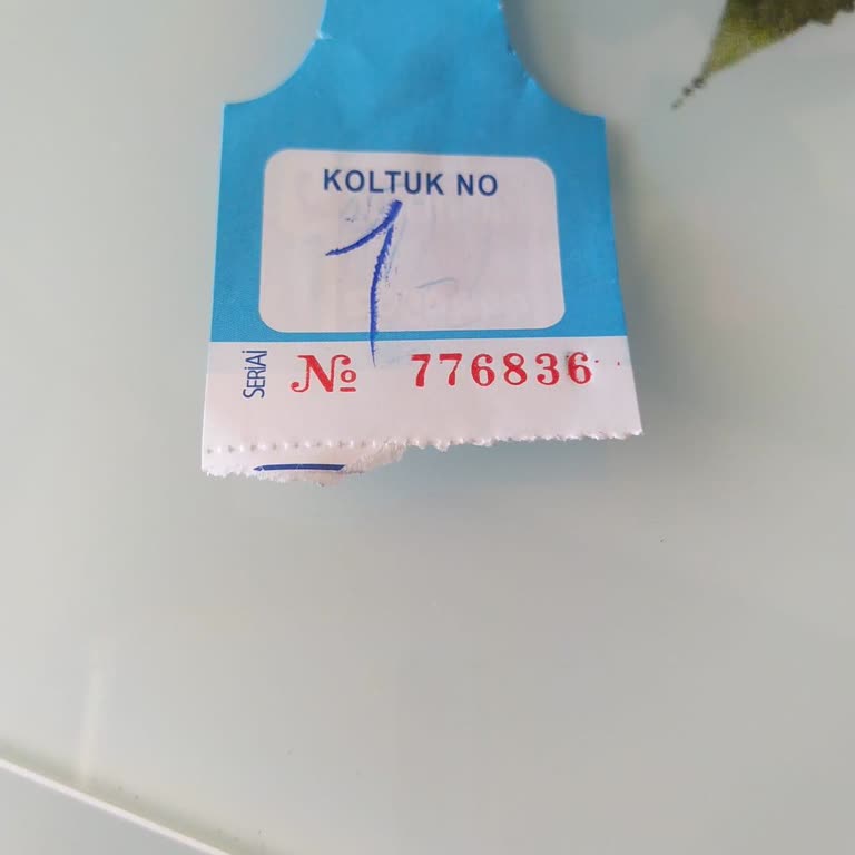Kamil Koç İle Yolculukta Kaybolan Bagaj Ve Sorumluluk Eksikliği