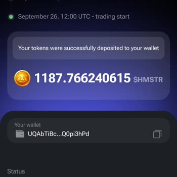 Hamster Kombat Coin Transfer Sorunu