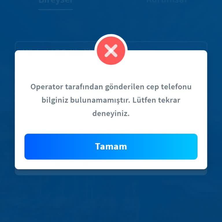 Halkbank Mobil Giriş Sorunu: Ticaretim Aksıyor, Acil Yardım!