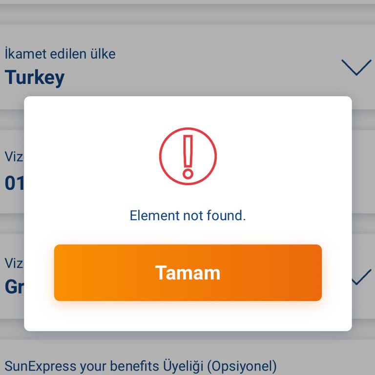 Sunexpress Uygulaması Check-in Sorunu