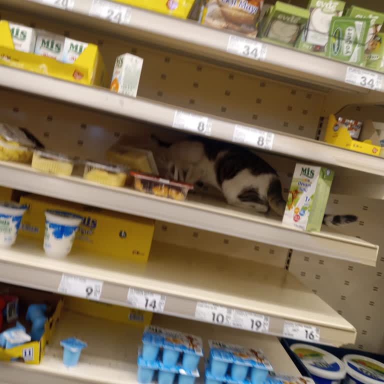 Kayaşehir Fenertepe Mağazasında Denetimsizlik Ve Sağlık Tehlikesi