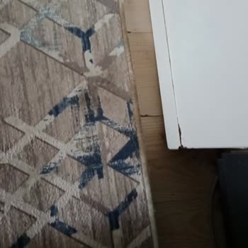 Sahra Halı Yıkama (Bursa) Pişmanlığı