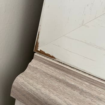 Karakaya Nakliyat Ankara Aile Havası Altında Hayal Kırıklığı!