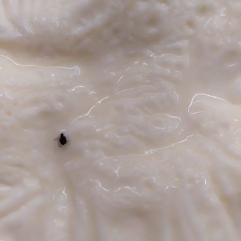 Kooperatif Market'te Hijyen Ve İletişim Sorunu