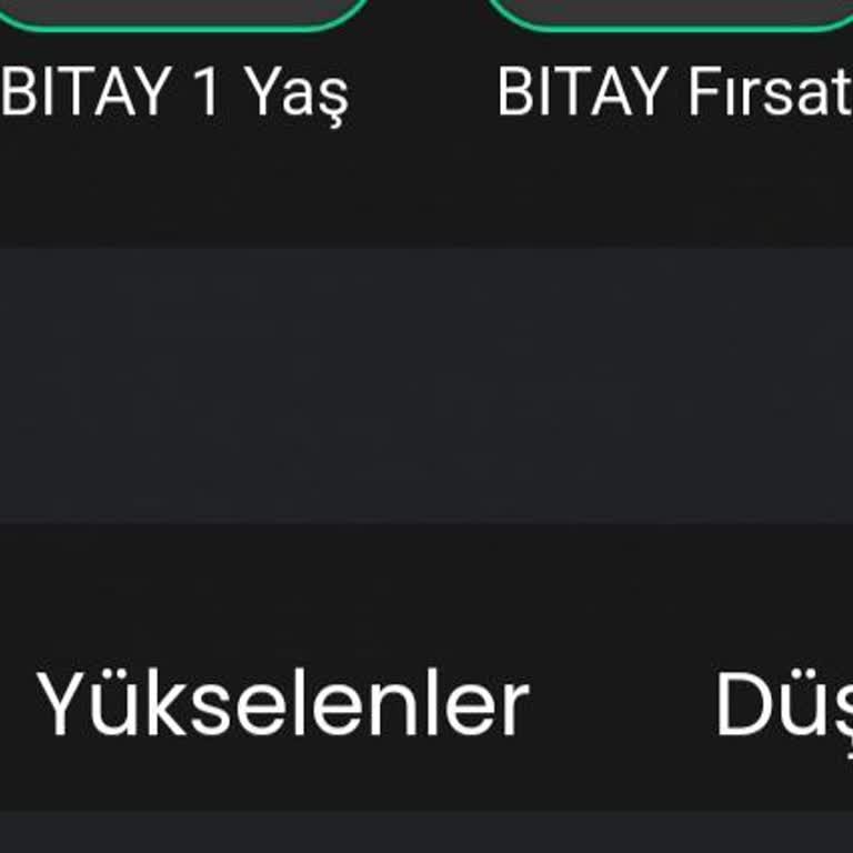 Bitay Hesabına Yatırılan Paranın Kaybolması Ve İletişim Sorunları
