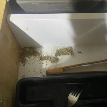 Bungalov.com.tr Şikayetçiyim