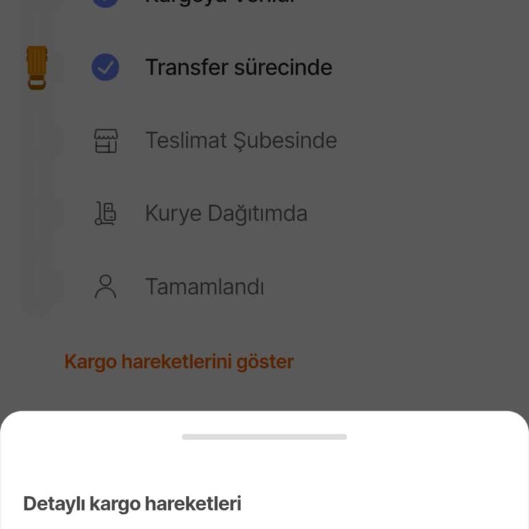 Kargom Ankara'da Mahsur Kaldı: Acil Teslimat Bekliyorum!
