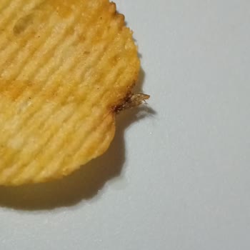 Found a Bug in My Ruffles Chips – Extremely Disappointed