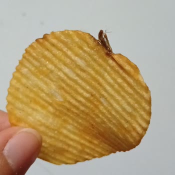 Found a Bug in My Ruffles Chips – Extremely Disappointed