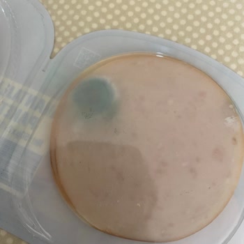 Bozuk Hindi Füme Mağduriyeti