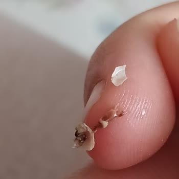 Found a Snail in Kellogg's Red Berry Cereal – Requesting Immediate Action