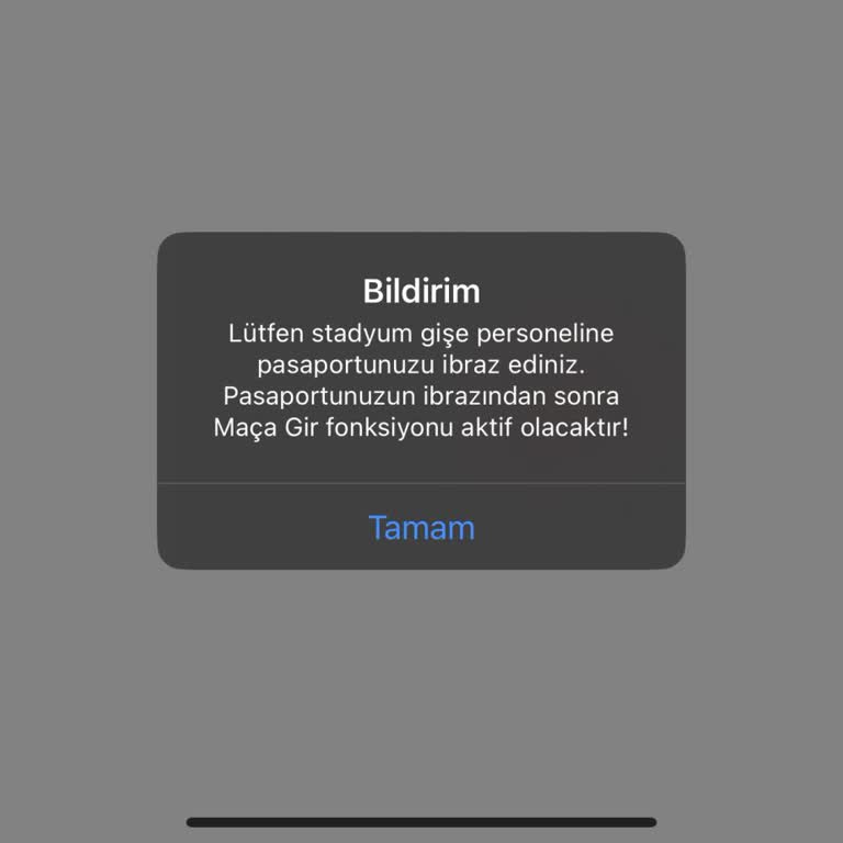 Maç Biletim Olmasına Rağmen Stadyum Giriş Ekranına Erişemiyorum