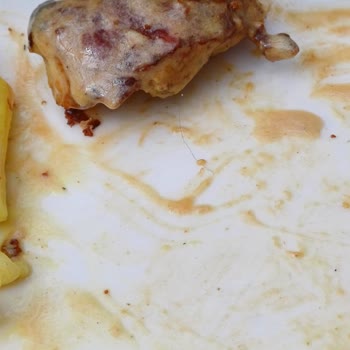 Tavuklarda Kıl Şoku: Tavuk Land Gebze Center'da Hayal Kırıklığı