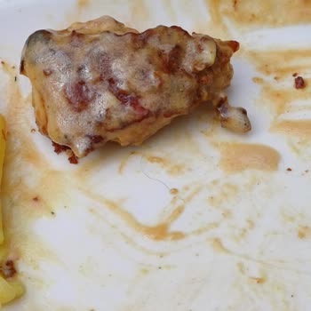 Tavuklarda Kıl Şoku: Tavuk Land Gebze Center'da Hayal Kırıklığı