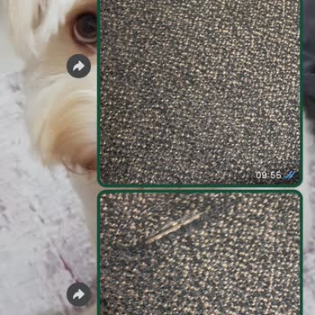 Mobilyalarımın Hızla Eskimesi Ve Çözüm Bulunamaması