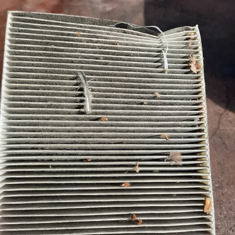 Fiat Egea Bakımında Şok Eden Eski Parça Skandalı