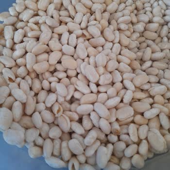 Harras Marka Kuru Fasulye Hayal Kırıklığı: Dağılma Sorunu