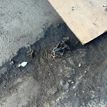 Tehlike Saçan Elektrik Kabloları