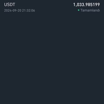 Kayıp USDT: Platform Paramıza El Koydu
