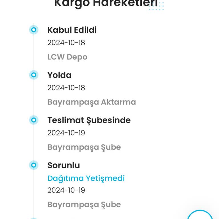 Kargo Gecikmesi Ve Ulaşım Sorunlarıyla İlgili Memnuniyetsizlik