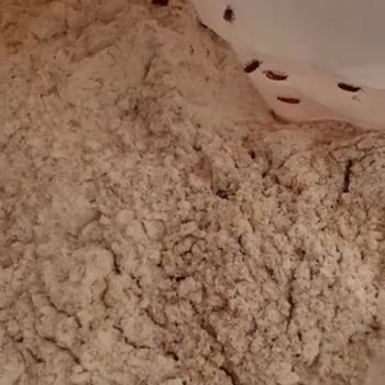 Aldığım Unun İçinden Böcek Çıktı!