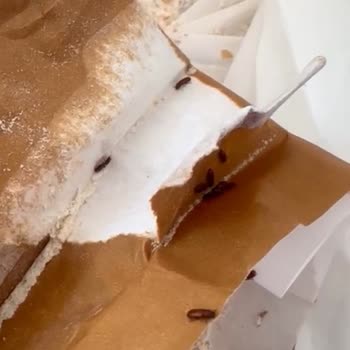 Aldığım Unun İçinden Böcek Çıktı!