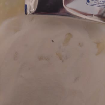 Dr. Oetker Krem Şanti'de Güven Sarsıcı Yabancı Madde!