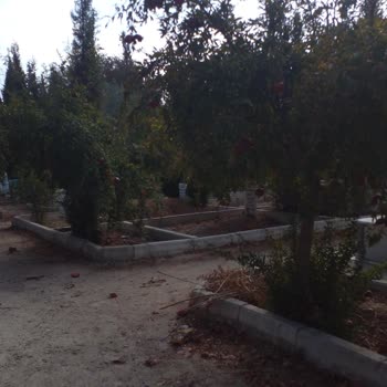 Atça Mezarlığı'nın Bakım Sorunları