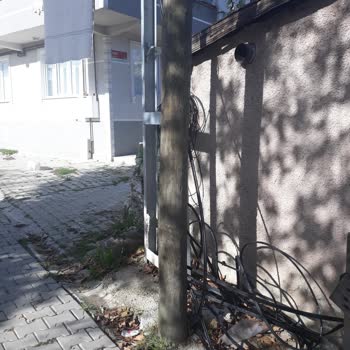 Kopan Kabloya 5 Günlük İhmal: Türk Telekom'un Utandıran Hizmeti