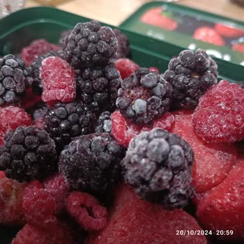 Dondurulmuş Meyvede Kurt Şoku