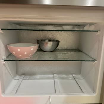 Liebherr Buzdolabı İçin Hayal Kırıklığı: Buzluk Contası Sorunu