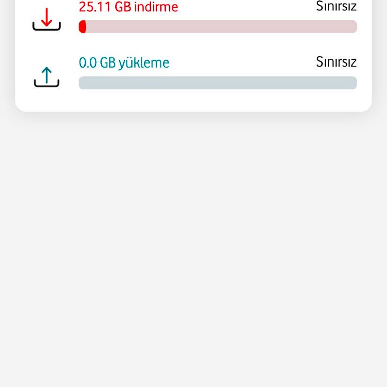 İnternet Hızında Yanıltıcı Kampanya Ve Müşteri Hizmetleri Sorunu